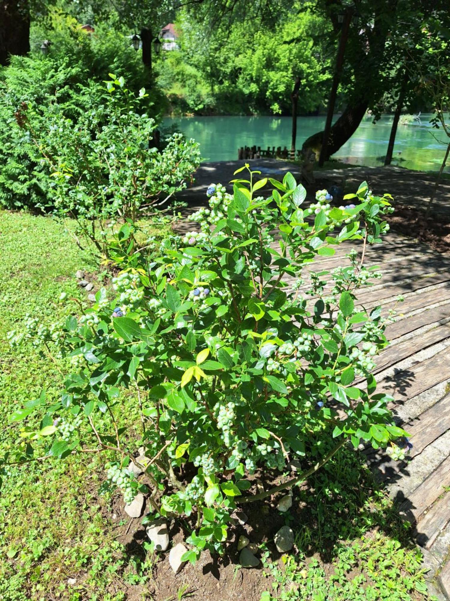 Atrium Holiday Home Bihać Kültér fotó
